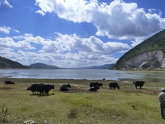 Françoise et Alain - Circuit au Yunnan - Septembre 2014 (12 jours)